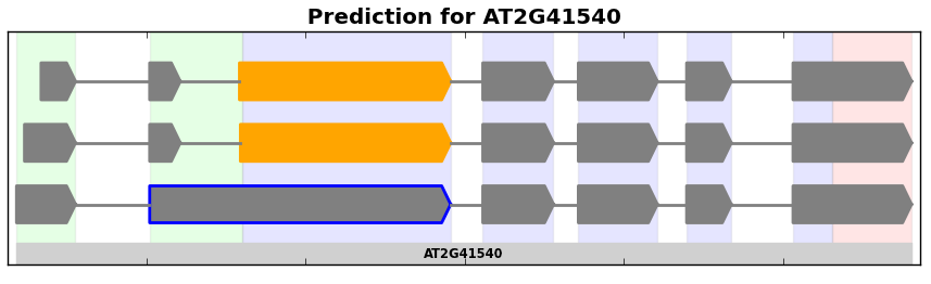 _images/isoform_graph.png