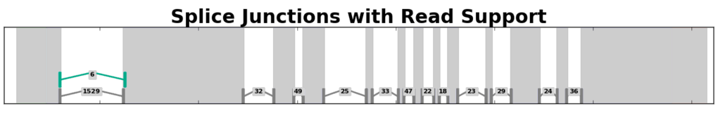 _images/junction_coverage.png