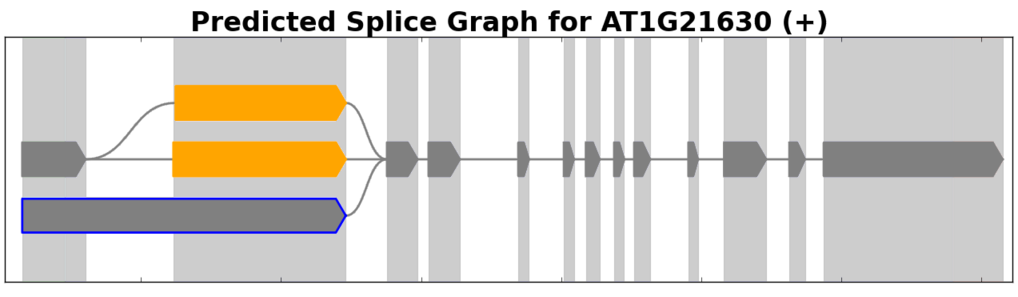 _images/splice_graph.png